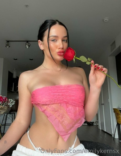 Emiemilykernsx star art pics