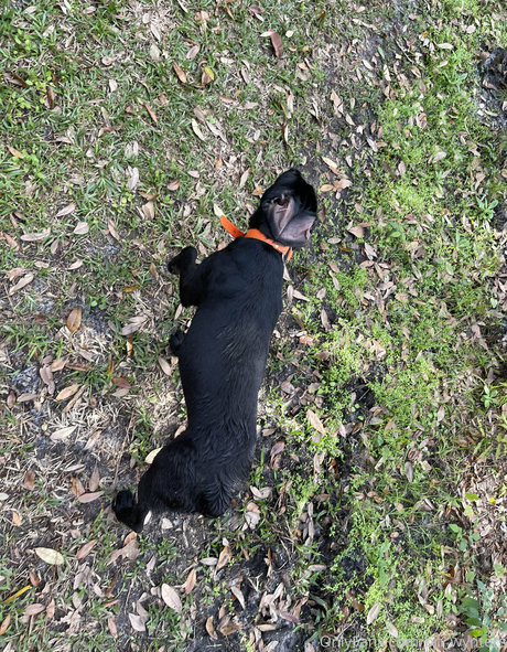 gay influencer onlyfans exclusive images