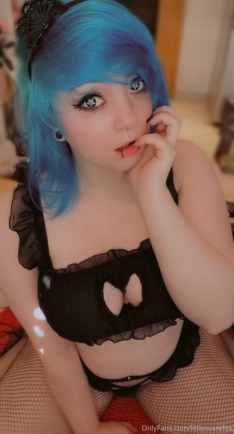 littlescarefox exclusive pornstar pictures