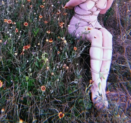 comfyqueen star art archive