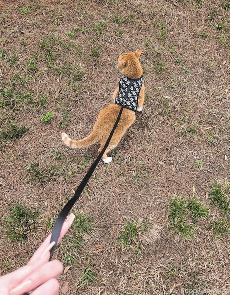 outdoor shower onlyfans free sexy pic