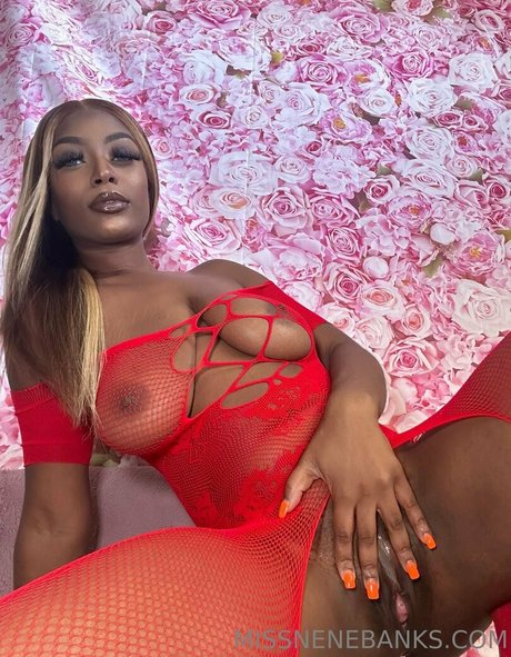 transgender onlyfans free porn pictures