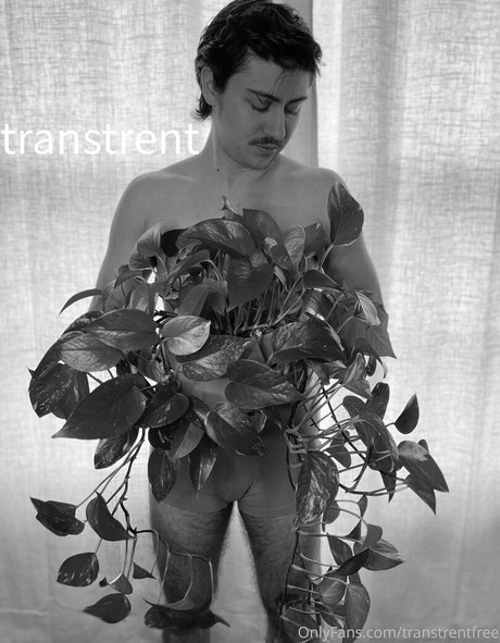 spin the wheel onlyfans erotic pic