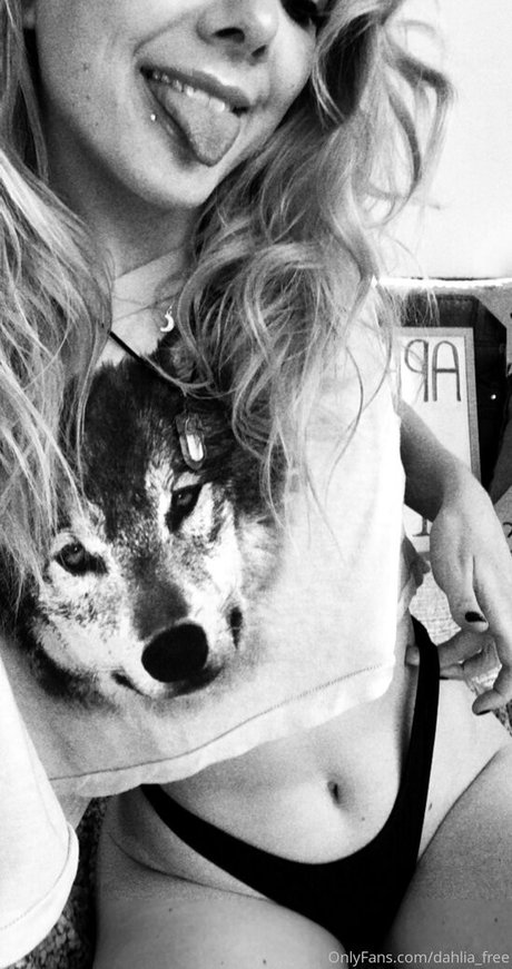 dahlia free beautiful star galleries