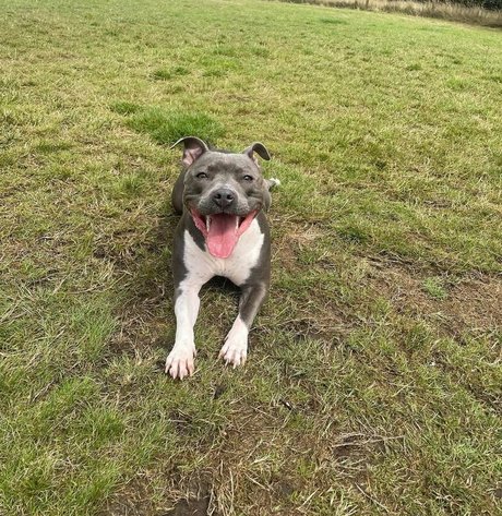 redhead teen onlyfans nudes photo