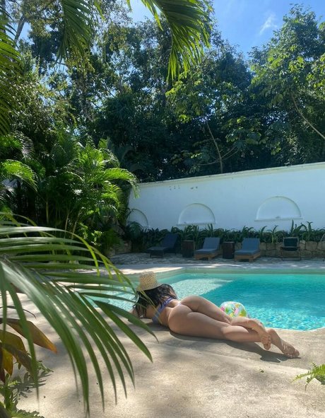 Felitrigo star nice photo