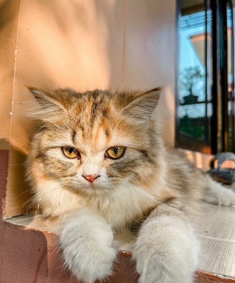 curvy sex onlyfans sexy nudes picture