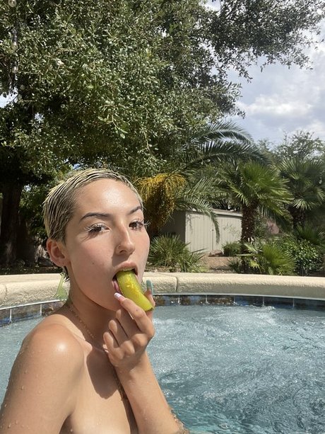 lego lass model pictures