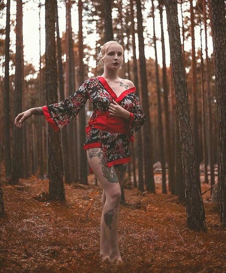 Swann SG model nice pics