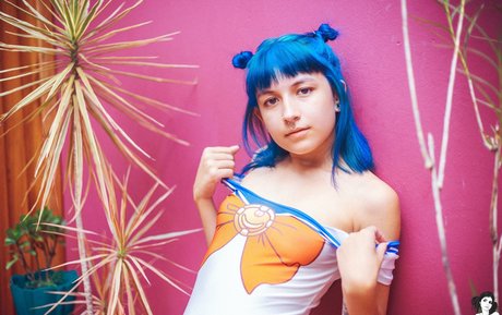 Wingsweak art star archive