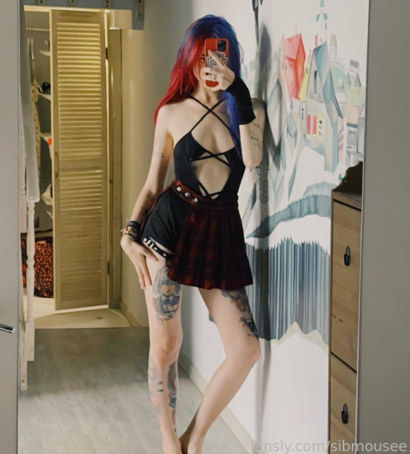 Sib Mouse pornstar top picture