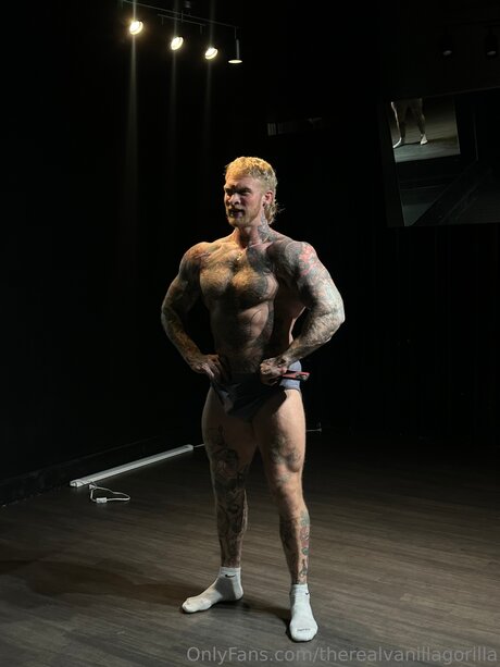 Therealvanillagorilla beautiful model image