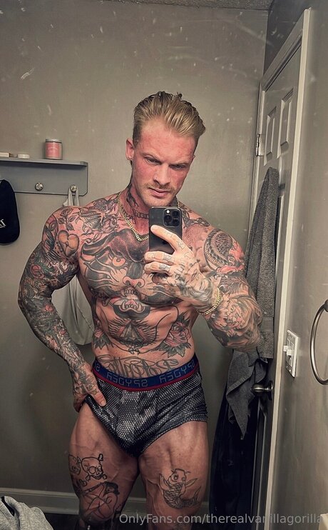 Therealvanillagorilla hd star picture