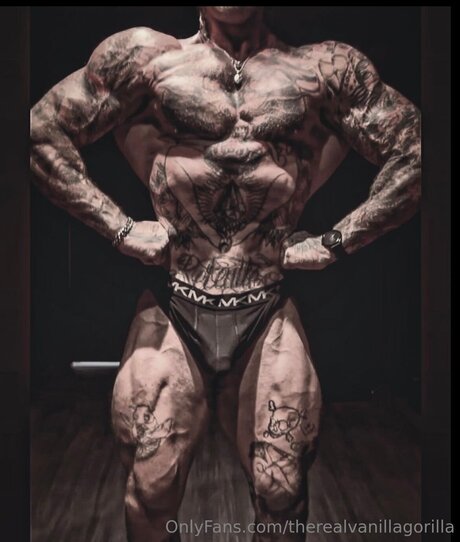 Therealvanillagorilla free pornstar gallery