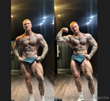 Therealvanillagorilla high quality pornstar pictures