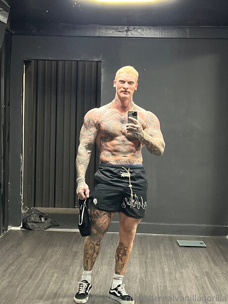 Therealvanillagorilla hd star picture