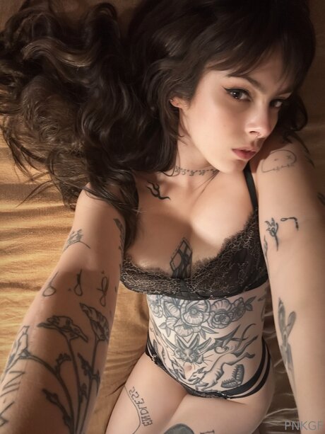 Pnkgf model free archive