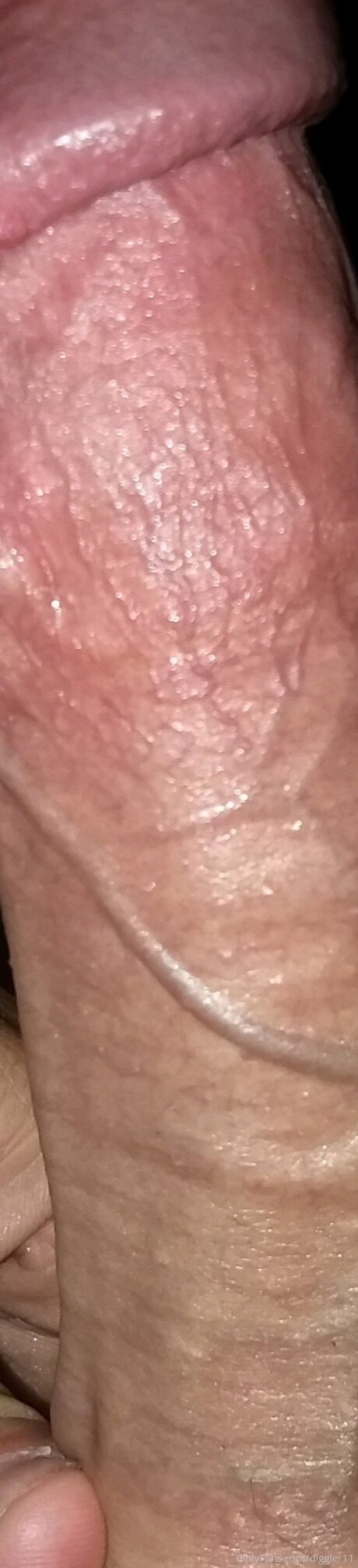 Diggler223 sex actress photos