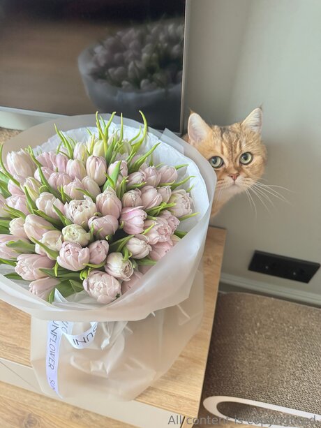 Celestiavex model naked photo