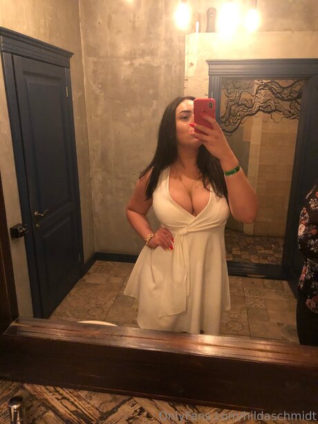 Hildaschmidt model perfect image