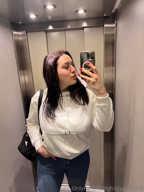 Hildaschmidt model image