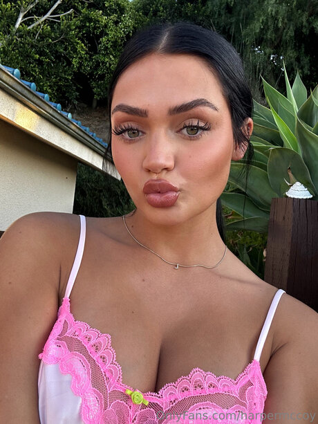 Harpermcoyyy art pornstar gallery