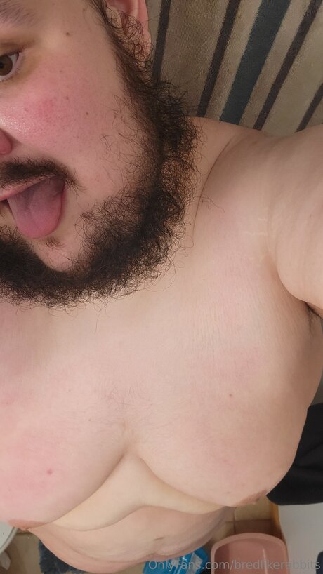 Bredlikerabbits pornstar best archive