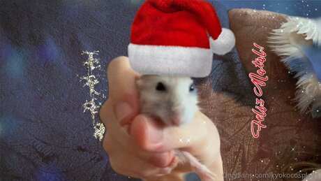 Kyokocosplays high quality star img