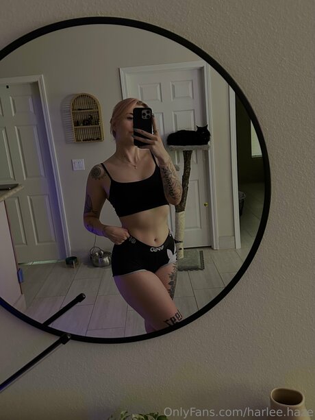 Harlee Haze high quality actress archive