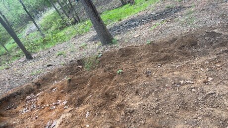 Xxgoldilocksxx naked actress pic