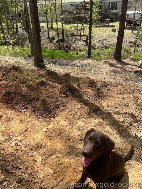 Xxgoldilocksxx star hd images