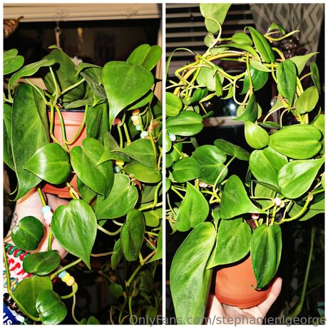 petite trans onlyfans perfect pic