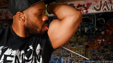 Jostinbeast best model images