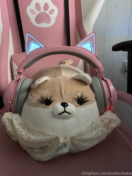 Zaykap star hd gallery