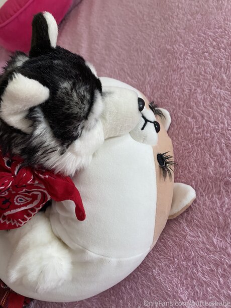 Zaykap model pornographic img