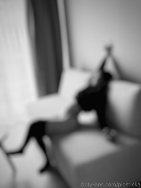 Plosticka porn star image