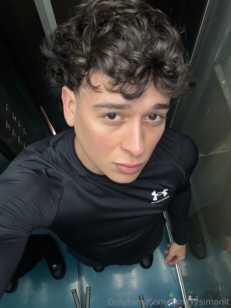 Dimitrysimonit perfect model image