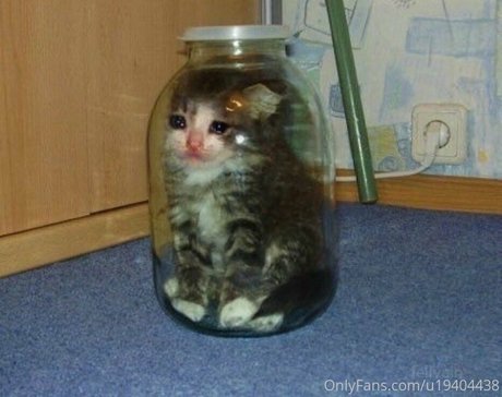 Soraphoria best star pic