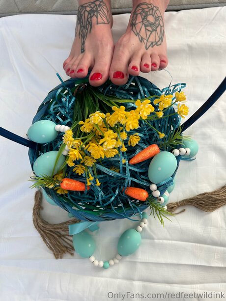 Redfeetwildink high quality star pictures