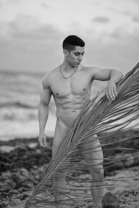 hottest trans onlyfans free sexy image