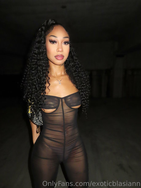 Exoticblasiann_ best model images