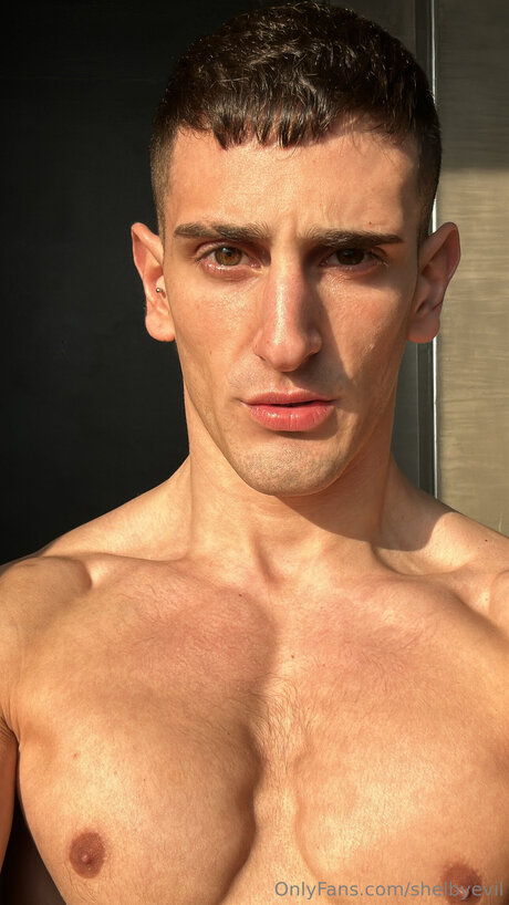 Shelbyevil best star pic