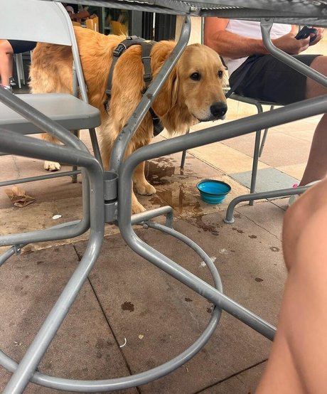 ebony fuck onlyfans free nude galleries