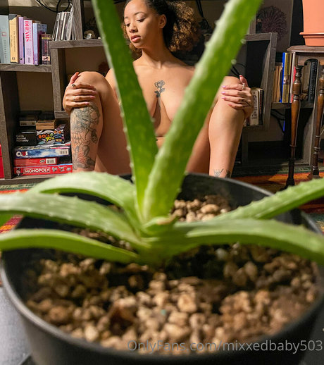 Mixxedbaby503 xxx star images