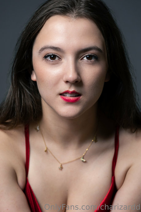 Charizard model hd pics