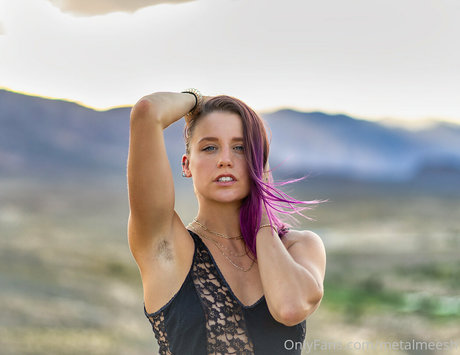 Meesh model top image