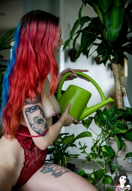 Zorii nice actress photo