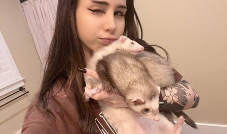 asmr blowjob onlyfans porno pictures