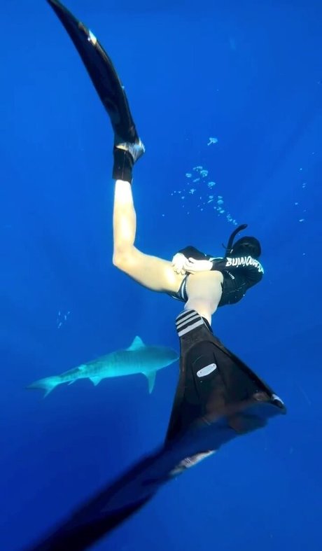 black dick onlyfans porno archive