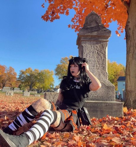 herbivorewh0re perfect star galleries